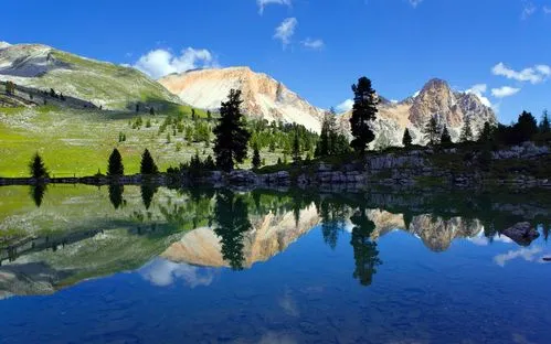 网络化高效